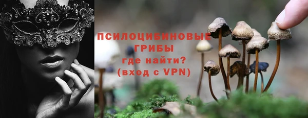 дживик Волоколамск