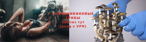 винт Володарск
