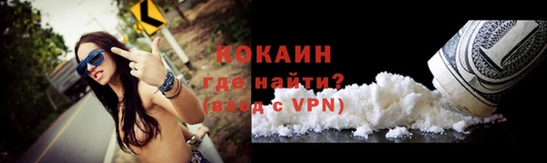 стаф Волосово