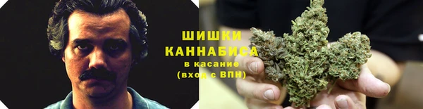 дживик Волоколамск