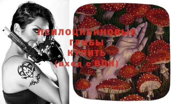 стаф Волосово