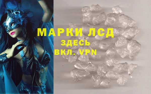 стаф Волосово