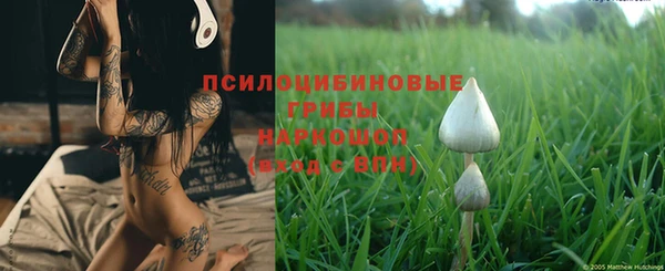 дживик Волоколамск