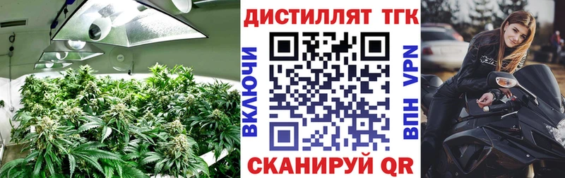 Дистиллят ТГК гашишное масло  Тамбов 